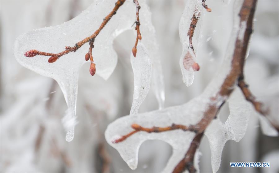 CANADA-TORONTO-FREEZING RAIN