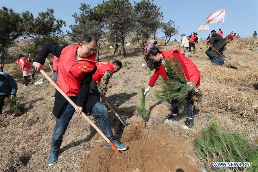 #CHINA-ARBOR DAY-TREE PLANTING (CN)