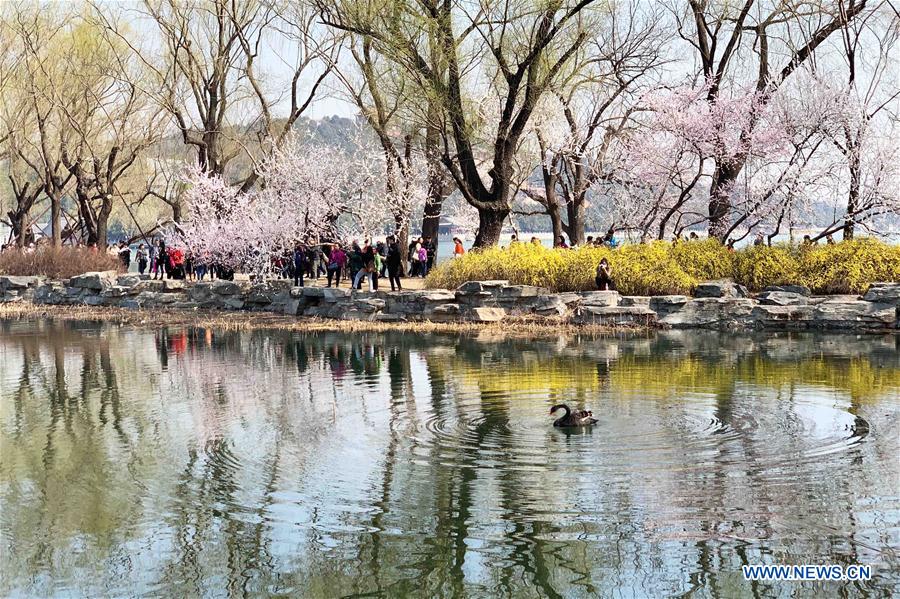 (BeijingCandid)CHINA-BEIJING-SPRING-PARKS