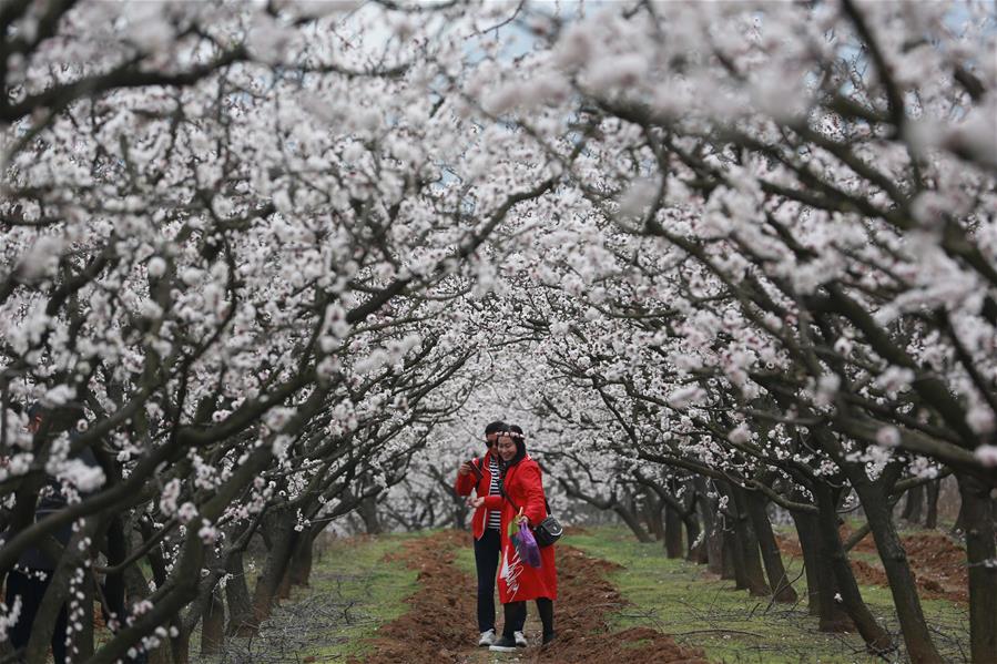 # CHINA-SPRING-SCENERY (CN)