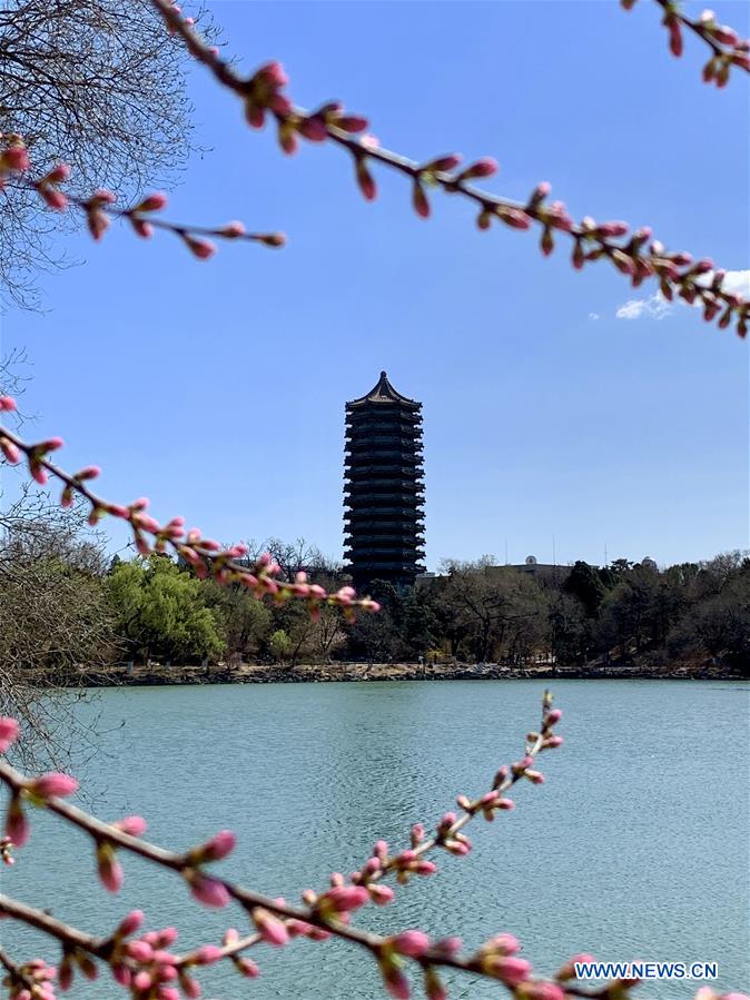 (BeijingCandid) CHINA-BEIJING-SPRING (CN)