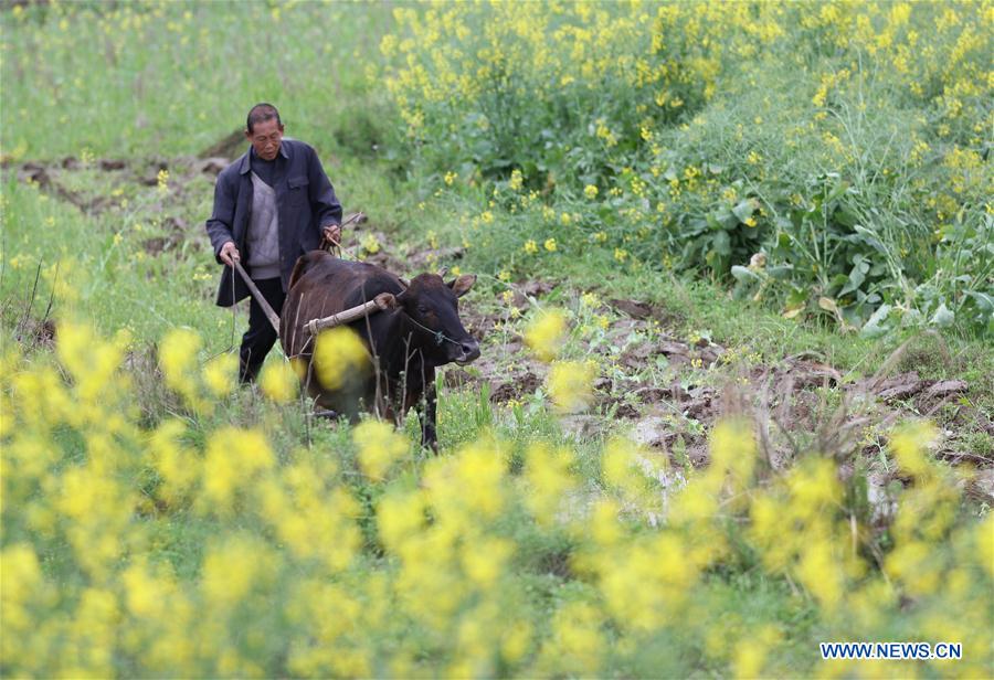 #CHINA-HUNAN-SPRING-FARMING (CN)