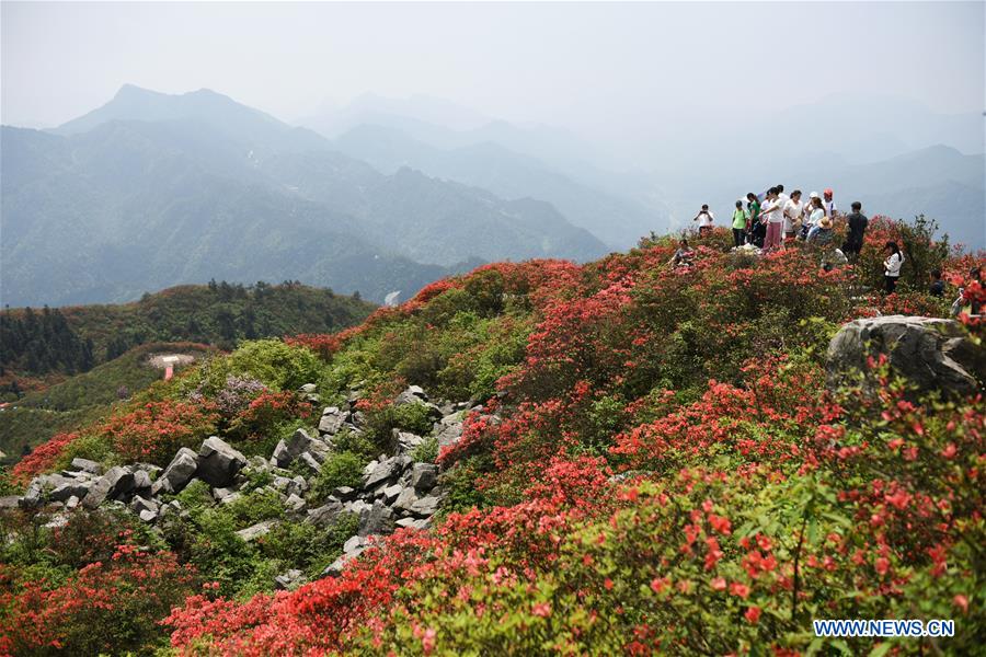 CHINA-GUIZHOU-DANZHAI-SCENERY