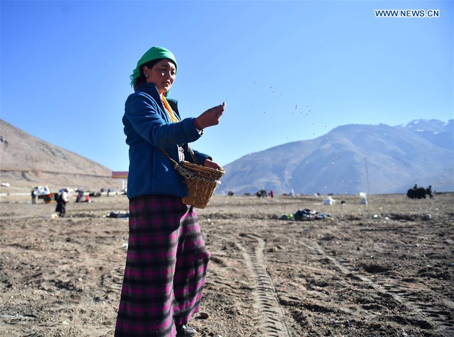 CHINA-TIBET-XIGAZE-FARMING (CN)