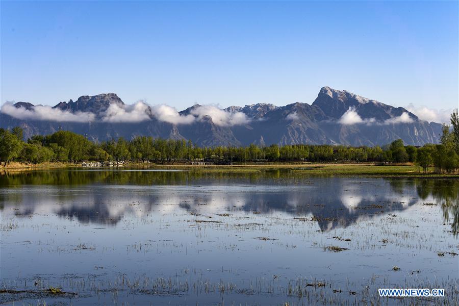 (EcoChina)CHINA-BEIJING-HORTICULTURAL EXPO (CN)