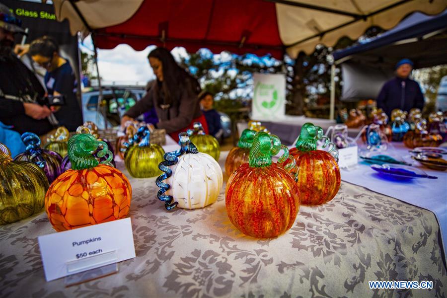 AUSTRALIA-COLLECTOR-PUMPKIN FESTIVAL