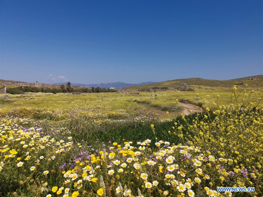 GREECE-CULTURE-ARCHAEOLOGY-DELOS