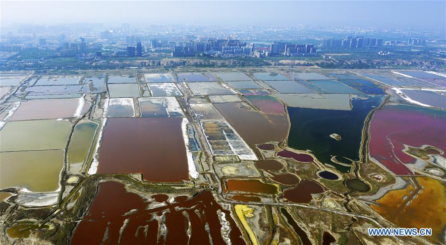 (EcoChina)CHINA-BEIJING-HORTICULTURAL EXPO-SHANXI (CN)