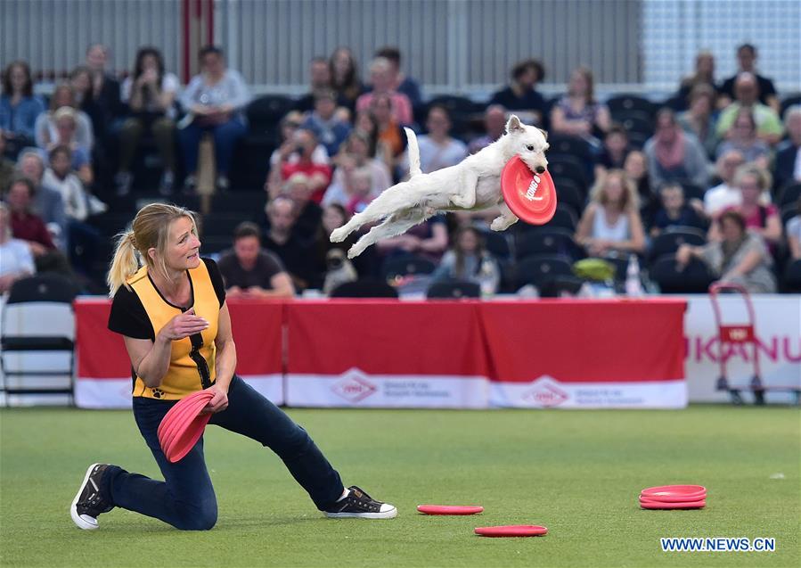 GERMANY-DORTMUND-DOG-CAT-EXHIBITION