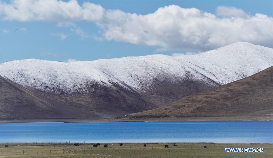 XINHUA PHOTOS OF THE DAY