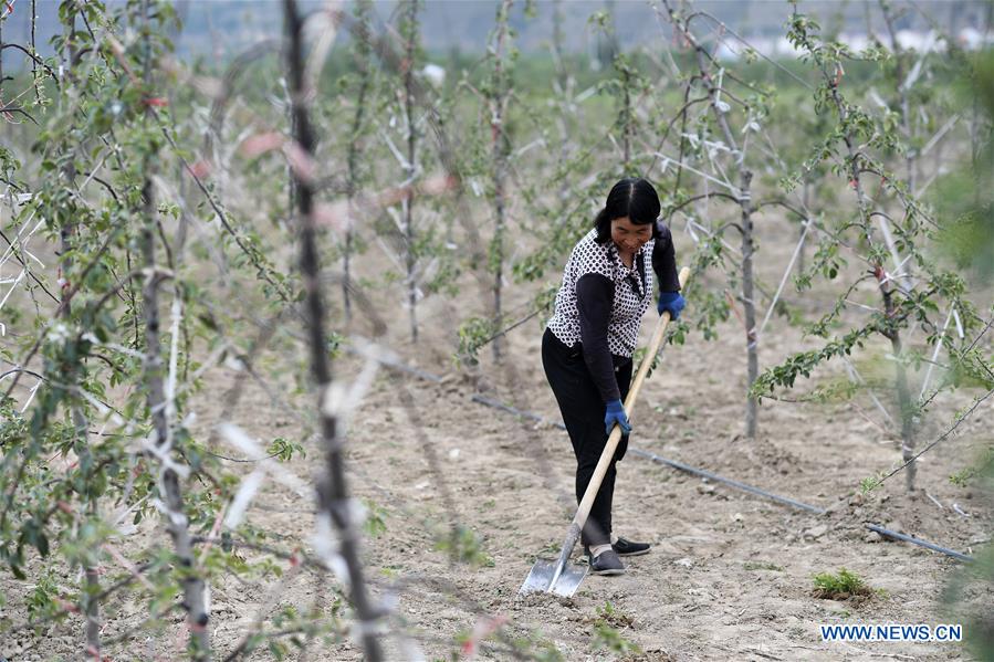 CHINA-NINGXIA-POVERTY ALLEVIATION (CN)