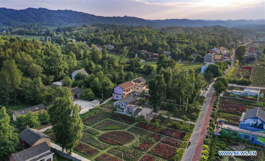 CHINA-SHAANXI-LUONAN-ROSE GARDEN (CN)