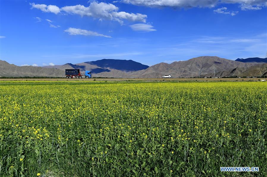 CHINA-TIBET-XIGAZE-SCENERY (CN)