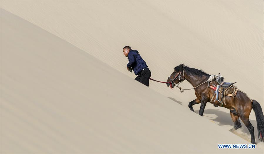 CHINA-XINJIANG-DESERT POPLAR-RANGER (CN)