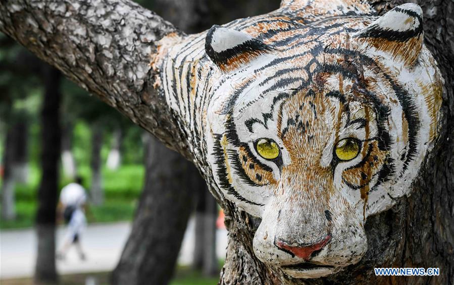 CHINA-JILIN-CHANGCHUN-TREE BARK CARVING AND PAINTING (CN)