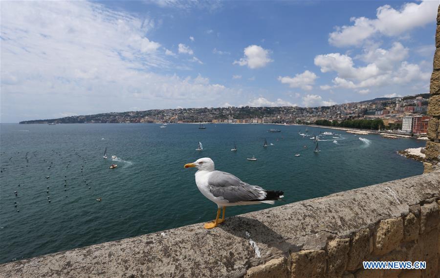 (SP)ITALY-NAPLES-SUMMER UNIVERSIADE-SAILING-FINAL