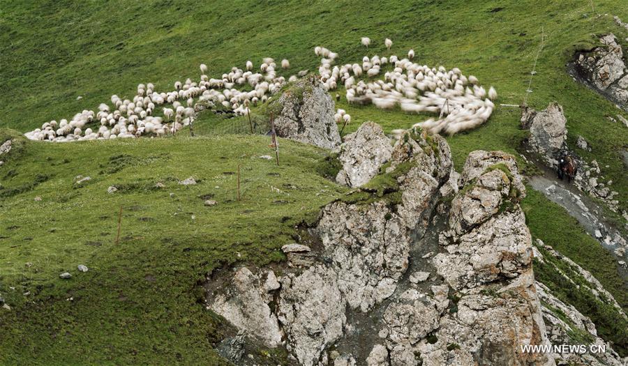 CHINA-QINGHAI-QILIAN-SCENERY (CN)