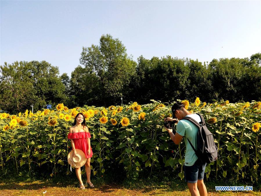 (BeijingCandid)CHINA-BEIJING-SUMMER (CN)