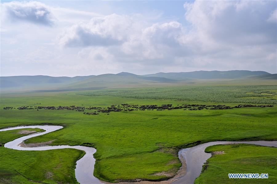 CHINA-INNER MONGOLIA-HORSES (CN)