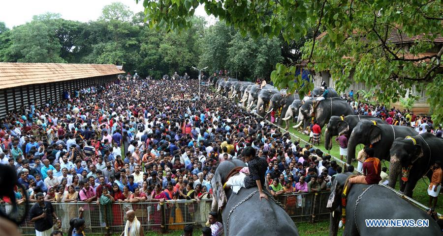 INDIA-THRISSUR-ELEPHANTS