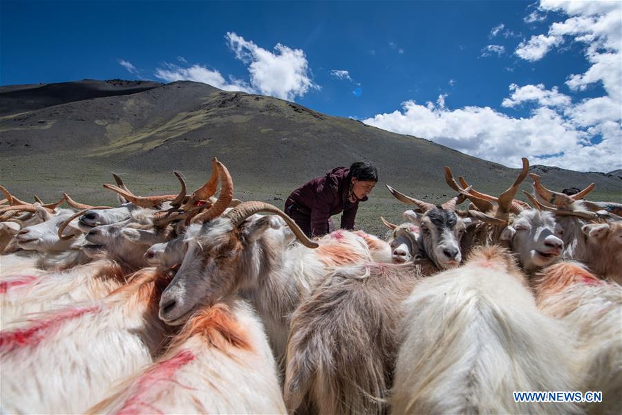 CHINA-AGRICULTURE DEVELOPMENT (CN)