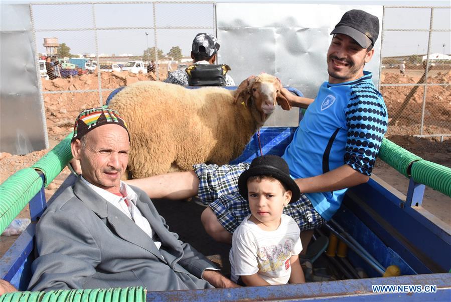 MOROCCO-SALE-EID AL-ADHA-LIVESTOCK MARKET