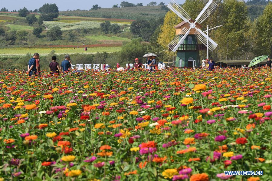 CHINA-JILIN-CHANGCHUN-FLOWERS (CN)