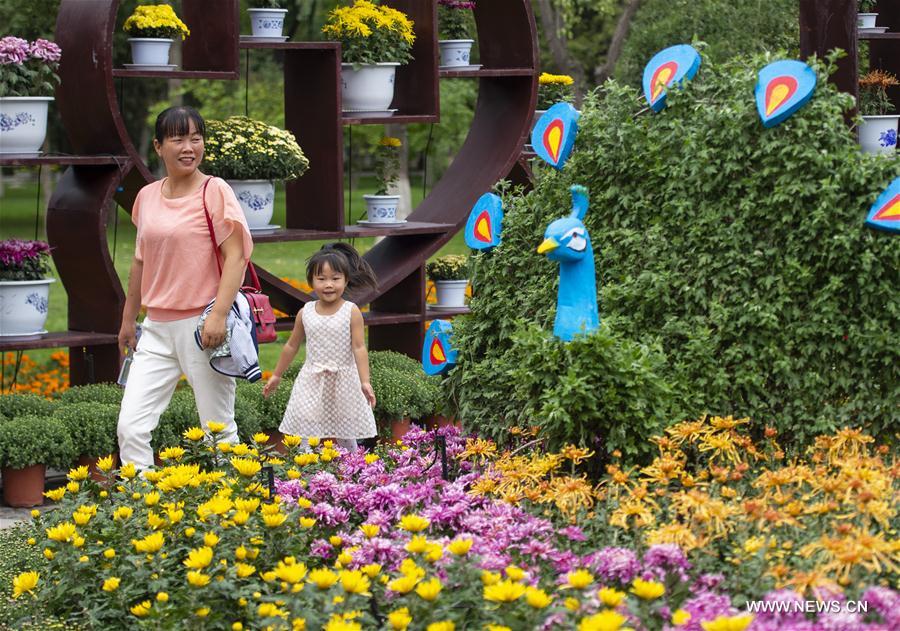 CHINA-NINGXIA-YINCHUAN-CHRYSANTHEMUM EXHIBITION (CN)