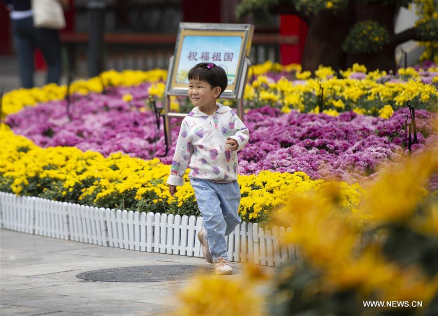 CHINA-NINGXIA-YINCHUAN-CHRYSANTHEMUM EXHIBITION (CN)