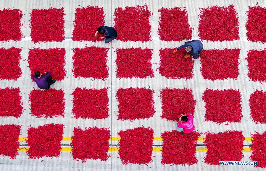 CHINA-HARVEST-AERIAL VIEW (CN)