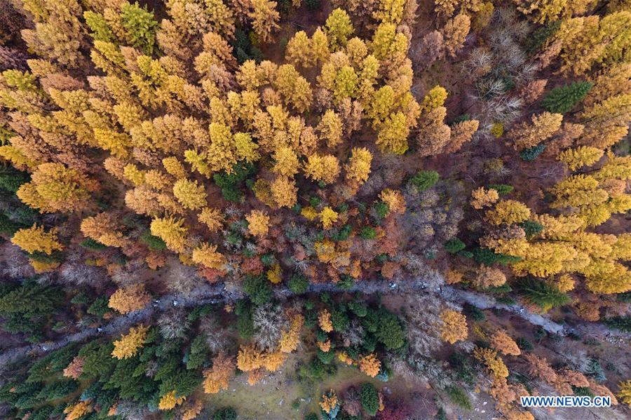 CHINA-SHANXI-PANGQUANGOU-NATURE RESERVE (CN)