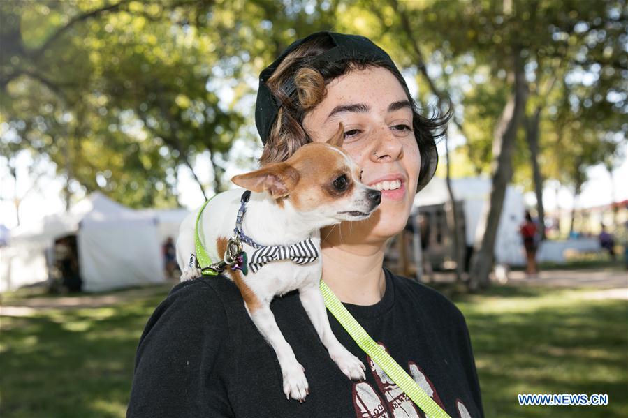 U.S.-DALLAS-DOG FESTIVAL