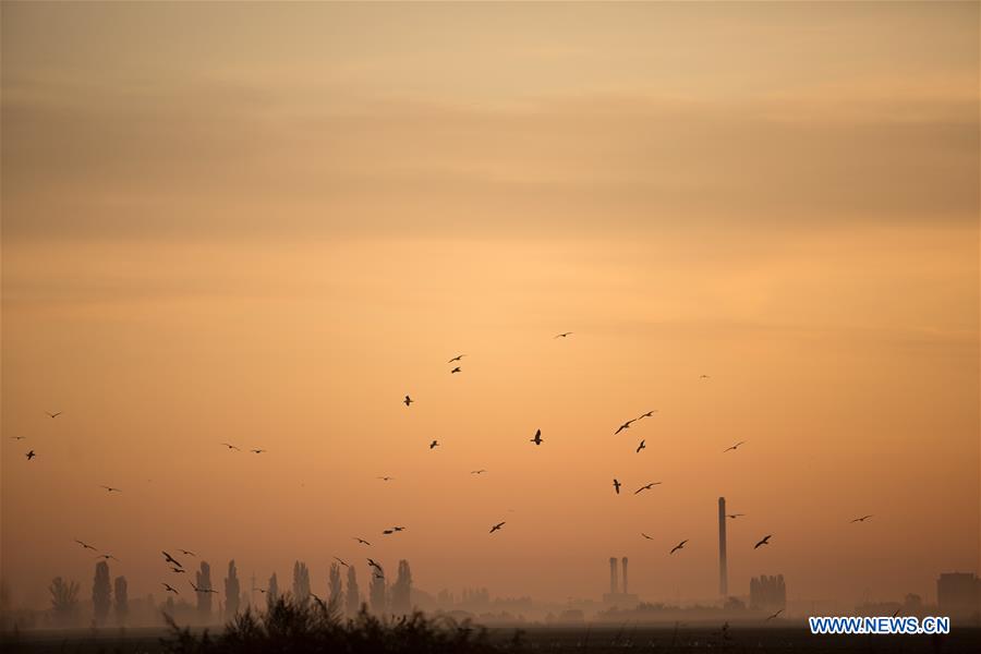 CROATIA-OSIJEK-SUNRISE