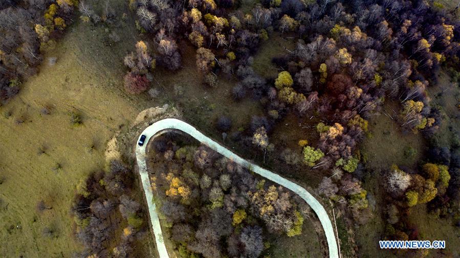 CHINA-SHAANXI-AUTUMN-PASTURE-SCENERY (CN)