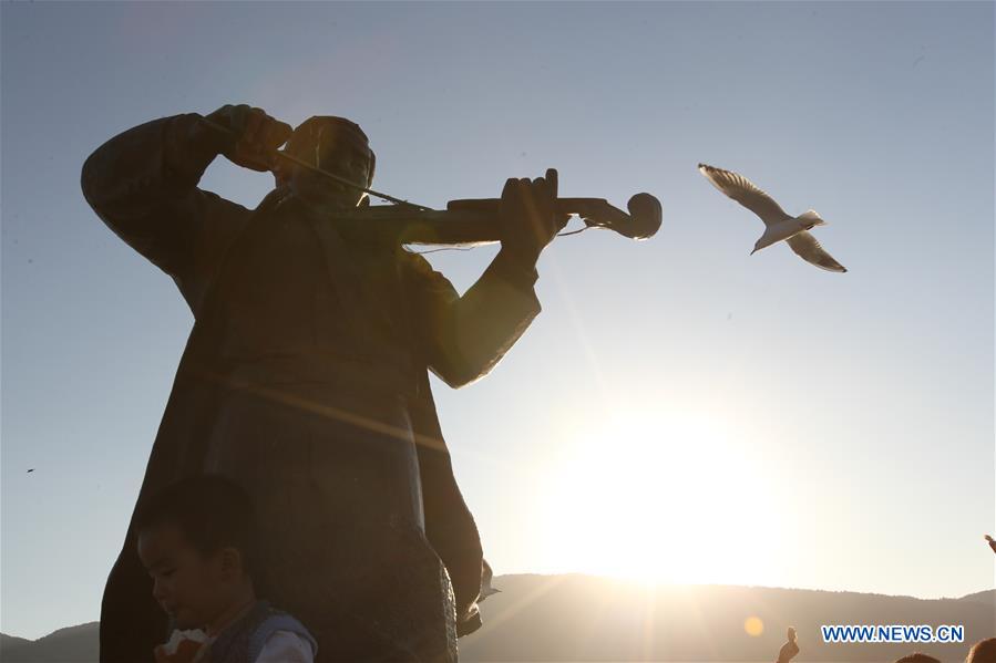 CHINA-YUNNAN-KUNMING-BLACK-HEADED GULLS (CN)