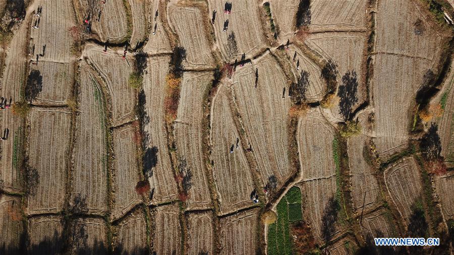 CHINA-ANHUI-WINTER-SCENERY (CN)