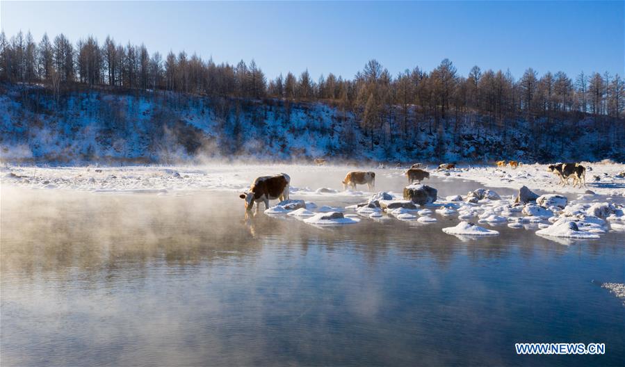 XINHUA PHOTOS OF THE DAY