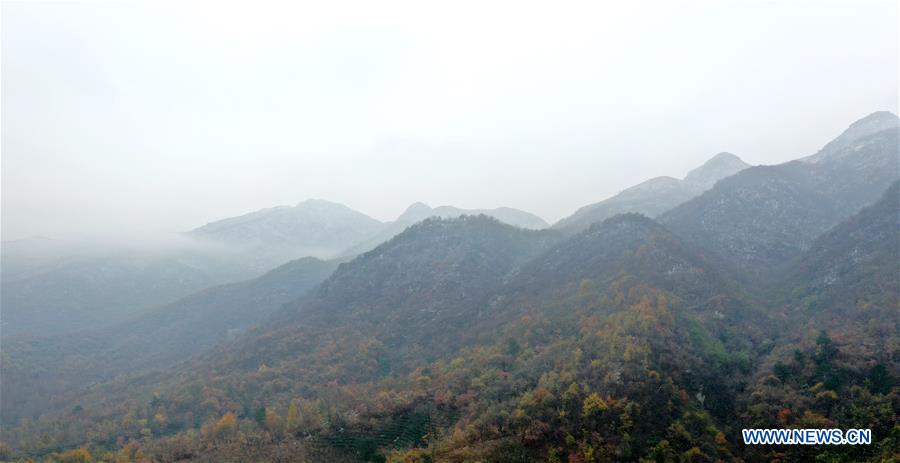 CHINA-HENAN-TONGBAI MOUNTAIN (CN)