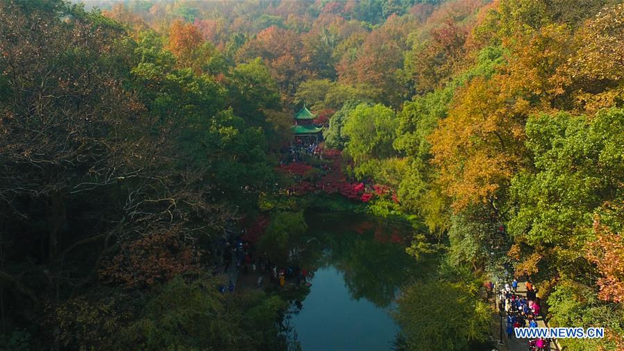 CHINA-HUNAN-CHANGSHA-MAPLE LEAF (CN)