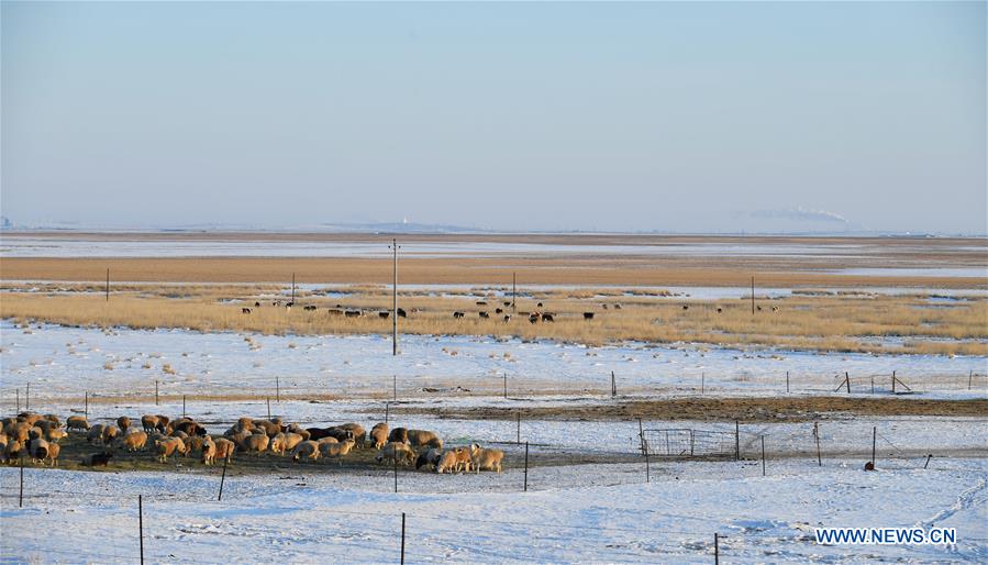 CHINA-INNER MONGOLIA-HULUN BUIR-WINTER (CN)