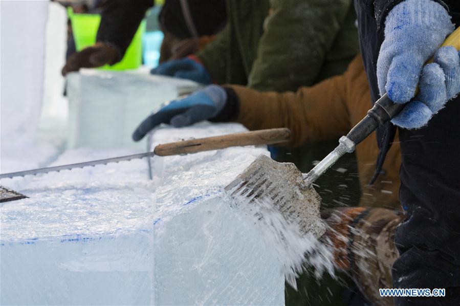 CHINA-HEILONGJIANG-HARBIN-ICE-SNOW WORLD(CN)