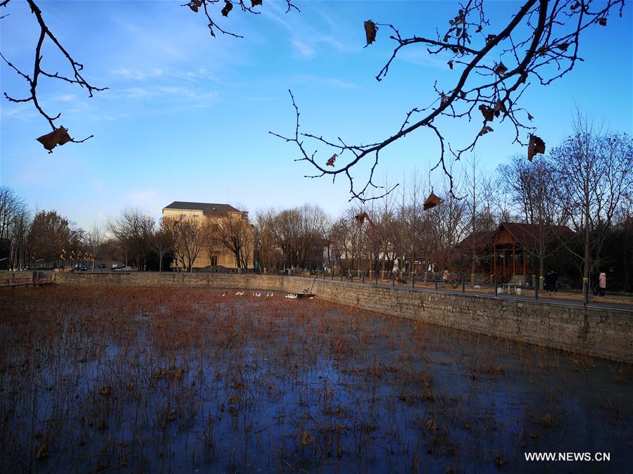 (BeijingCandid)CHINA-BEIJING-WINTER (CN)