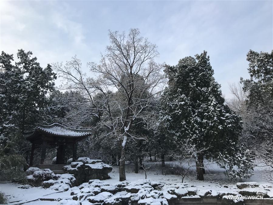 (BeijingCandid)CHINA-BEIJING-WINTER-XIANGSHAN PARK (CN)