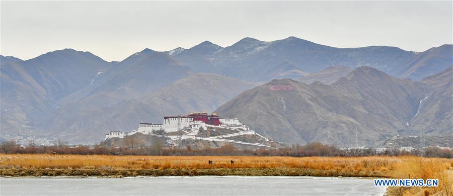 CHINA-TIBET-LHASA-LHALU WETLAND (CN)