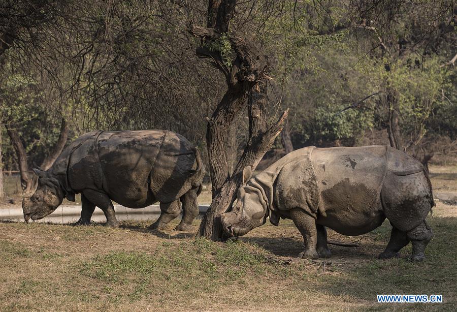 INDIA-NEW DELHI-NATIONAL ZOOLOGICAL PARK