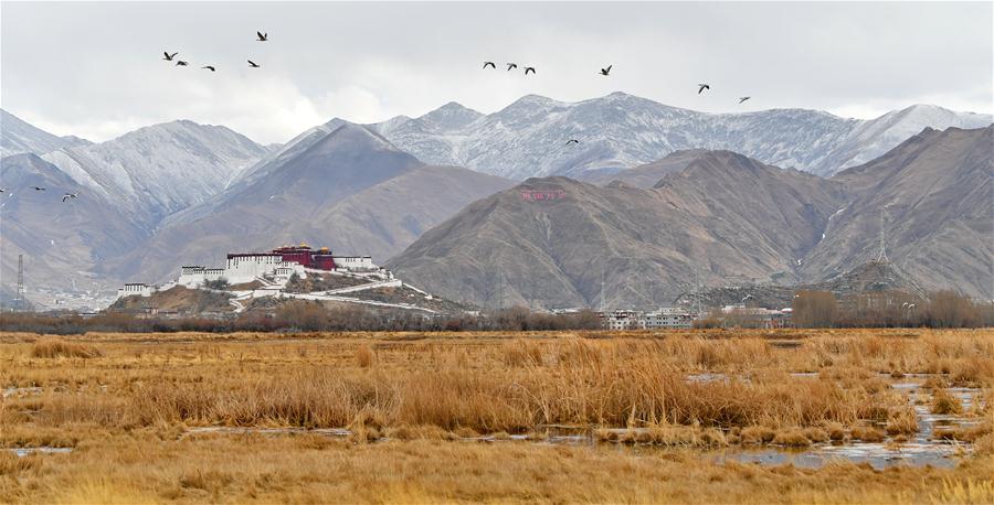 CHINA-TIBET-LHASA-LHALU WETLAND (CN)