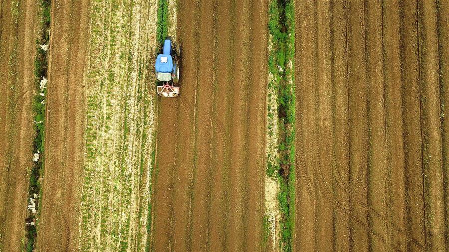 #CHINA-SPRING-FARMING (CN)