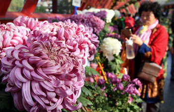 Tourists enjoy chrysanthemums at Millennium City Park in C China