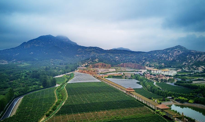 Pit, sump transformed to ecological parks in north China's Hebei