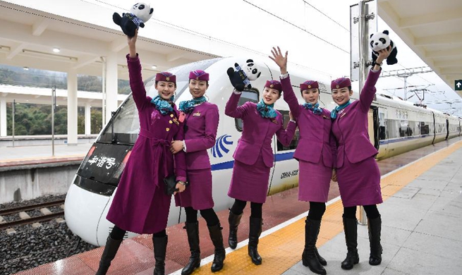 Chengdu-Ya'an high-speed railway starts operation